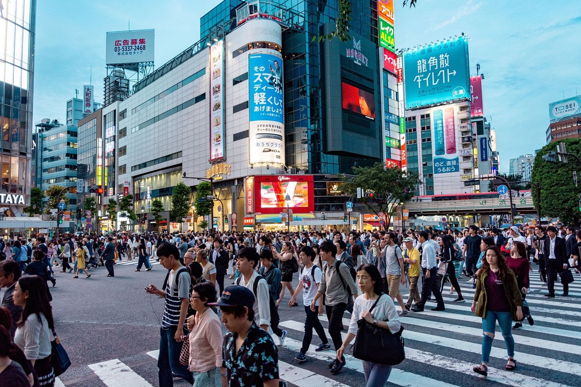 3분 만에 확인하는 일본 워홀 준비 가이드 Step 5